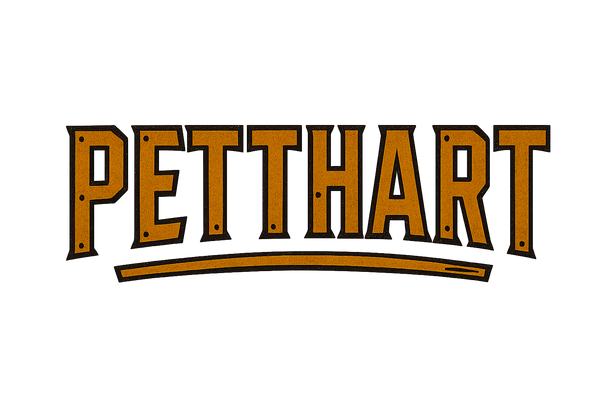 can you bring back the other one 